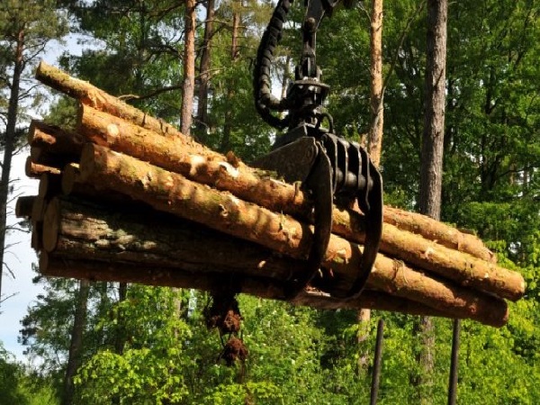 ARISTA Natürliche Baustoffe 01 600x450 01